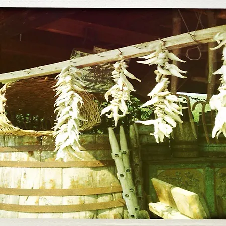 Prespa & Apart Otel Platy (Florina)