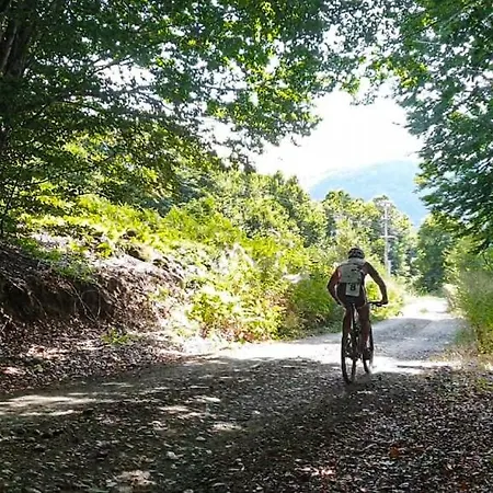Prespa & 3* Platy (Florina)