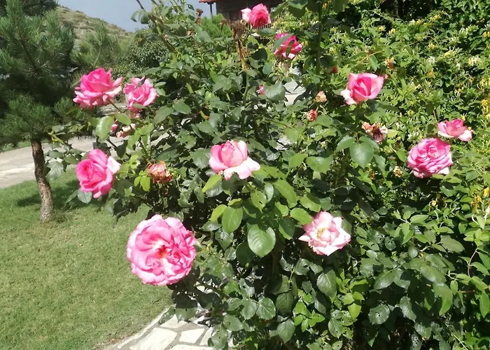 Prespa & Appart hôtel